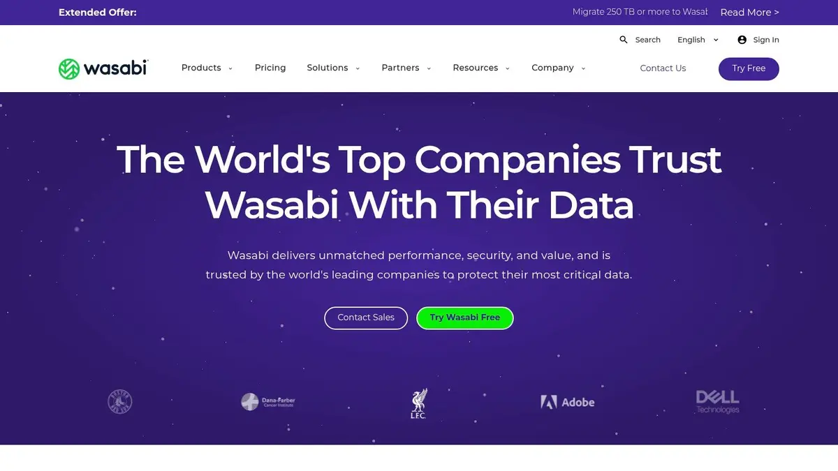 Wasabi Hot Cloud Storage